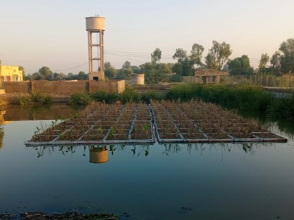 After-Ponds