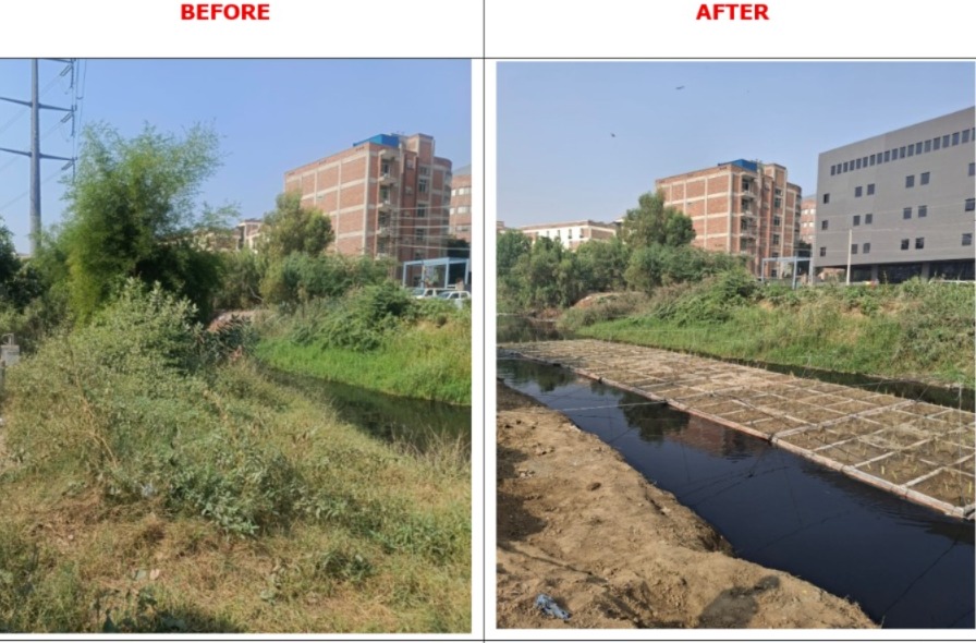 Ponds-Before-after